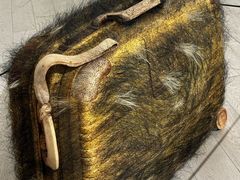 -证大喜玛拉雅中心