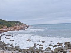-广东惠东海龟国家级自然保护区