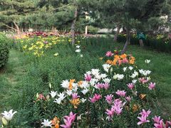 -长春公园(普阳街道)