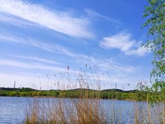 -永定河休闲森林公园