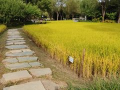 -北坞公园
