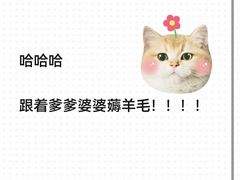 -皇冠幸福里动物奶油生日蛋糕(工业三路店)