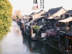 -西塘人家•黑金冠本地好店
