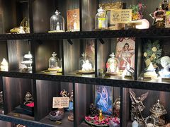 -雪灵魔法世界SHELLY’S TAROT(大良桂畔里店)