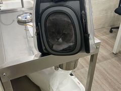 -暖阳宠物医院·犬猫康复中心·骨科