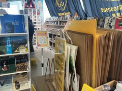 -浣熊唱片店(上海影城店)