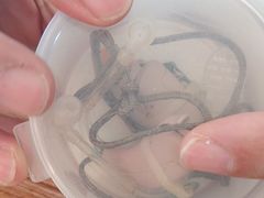 -自然之声助听器·呼吸机(保定清苑店)