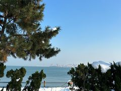 -悦海公园