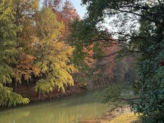 -上海海湾国家森林公园