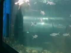 -嘉兴海底世界