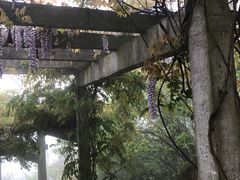 -缥缈峰景区