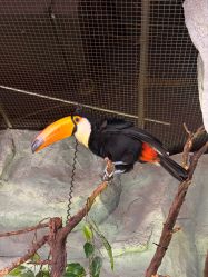 -Zoolung Zoolung动物主题公园(海信广场店)