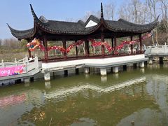 -上海海湾国家森林公园