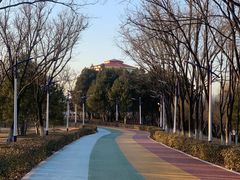-青龙湖公园