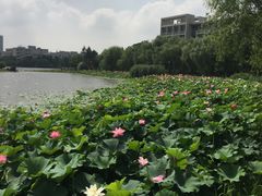 -江南大学(蠡湖校区)