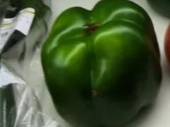 青椒-清美鲜食(金沙江路店)