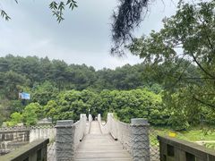 -铁山坪森林公园