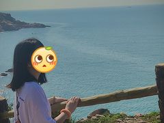 -广东惠东海龟国家级自然保护区