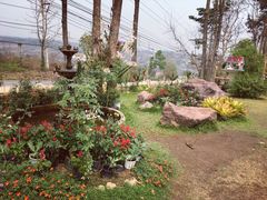 -黄色小屋