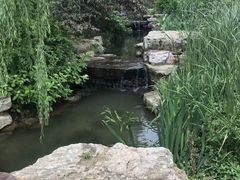 -习家池