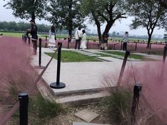 -汉长安城未央宫国家考古遗址公园