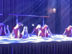 -红舞鞋舞蹈教育(近江校区)