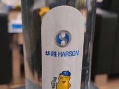 -华胜奔驰宝马奥迪专修连锁(虹梅南路店)