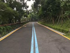 -飞凤山奥体公园