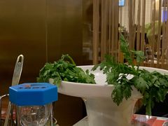 -烹然四季椰子鸡火锅(团结湖总店)