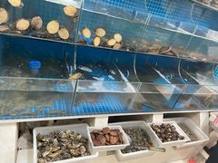 水产区-宾朋海鲜美食餐厅·特色美食(兴海路店)