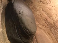 -白鹤梁水下博物馆