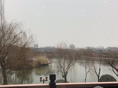 -鹊华居·地道鲁菜·海鲜·融合味(大明湖店)