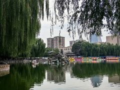 -团结湖公园