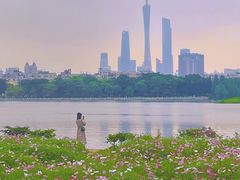 -海珠湖公园