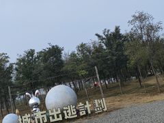 -天津东丽湖风景区