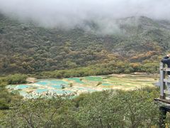 -黄龙山原始森林景区