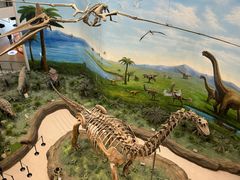 -辽宁古生物博物馆