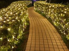 -广州花之恋城堡酒店