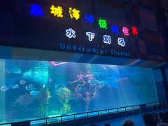 -泉城欧乐堡海洋极地世界