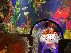 -沈阳海洋探索中心