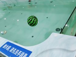 -鱼乐贝贝婴幼儿水育馆(星汇广场店)