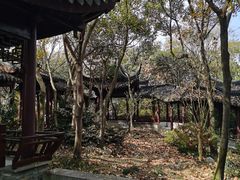 -上海佘山国家森林公园天马山园