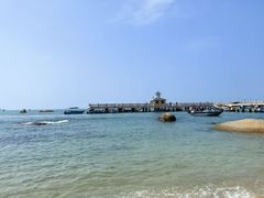 -广东惠东海龟国家级自然保护区