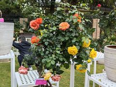 -人民公园(罗湖区)