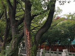 -安亭老街
