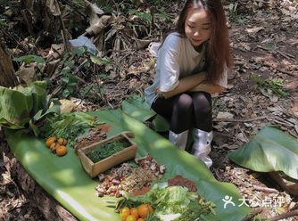 西双版纳小众玩法｜穿越到雨林里吃大餐