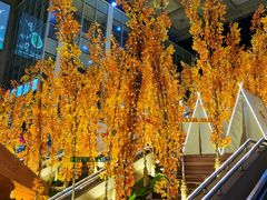 -日丰园海肠水饺·老字号大连海鲜(和平广场店)