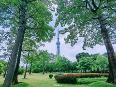 -文华公园(禅城区)