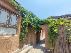 -白洋淀风景区