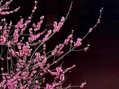 -慧因高丽寺